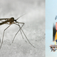 Illustration for article titled 30 Real Animals with Science Fiction Names